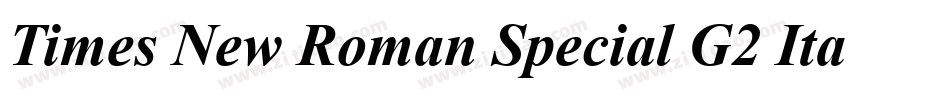 Times New Roman Special G2 Italic字体转换